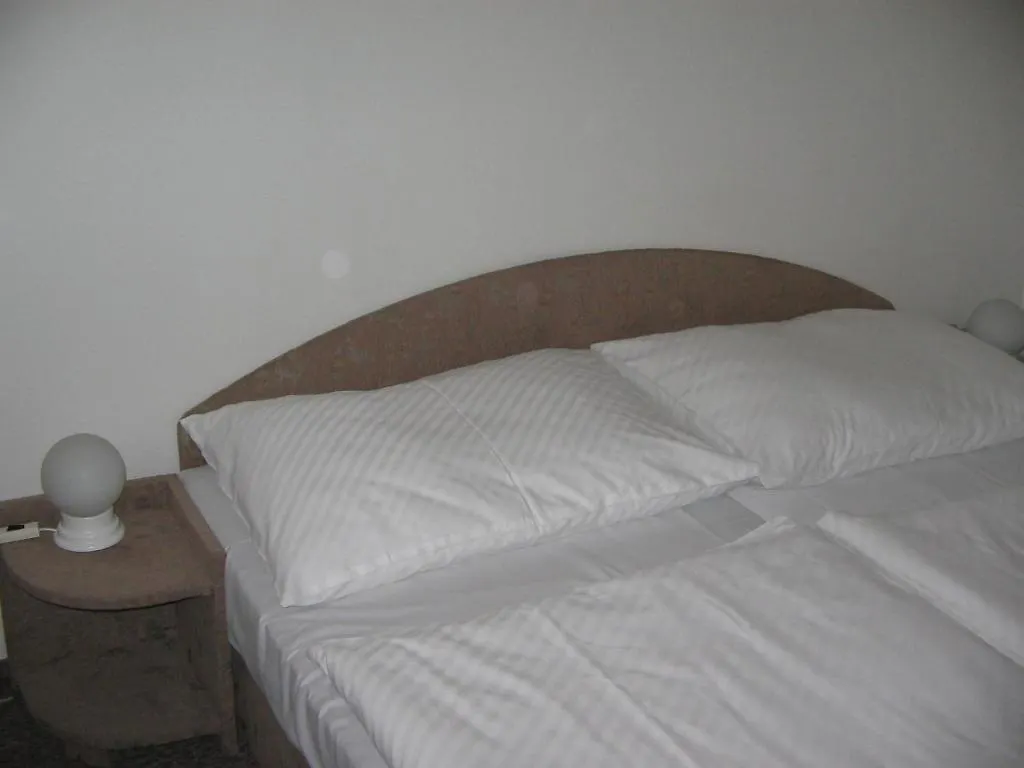 Guest house Pension Vila Lucie Prague